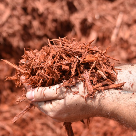 Mulch - Red mulch